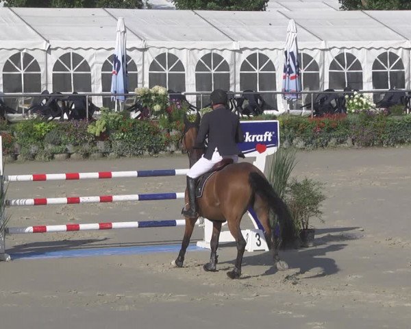Reitturnier Oberderdingen 2019