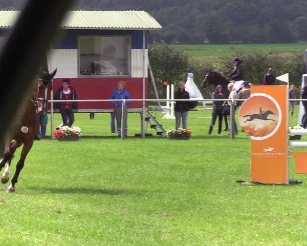 Reitturnier Behrendorf 2019