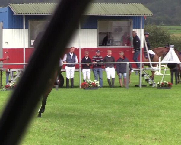 Reitturnier Behrendorf 2019