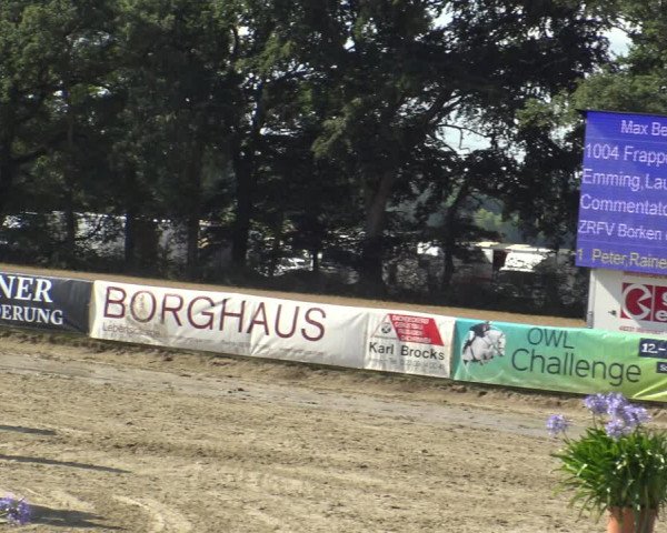 Reitturnier Waltrop 2019