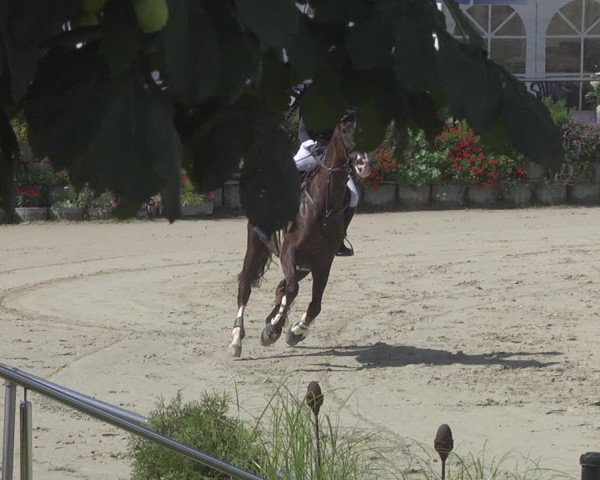 Reitturnier Oberderdingen 2019