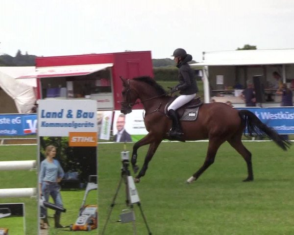 Reitturnier Behrendorf 2019