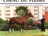 stallion Chenu du Plessis (Selle Français, 1990, from Tenor de la Cour)