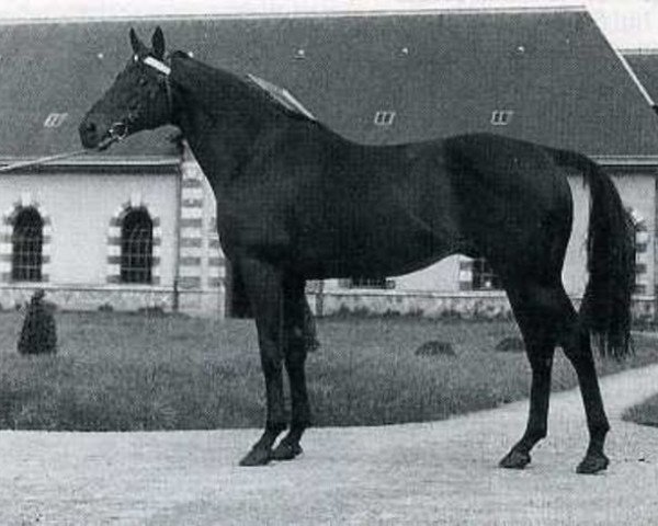 horse Fra Diavolo xx (Thoroughbred, 1938, from Black Devil xx)