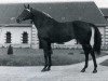 Pferd Fra Diavolo xx (Englisches Vollblut, 1938, von Black Devil xx)