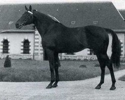 stallion Fra Diavolo xx (Thoroughbred, 1938, from Black Devil xx)