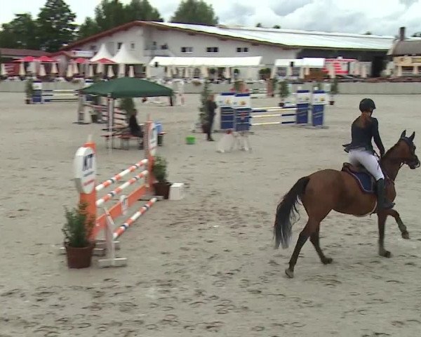Reitturnier Grafenrheinfeld 2019