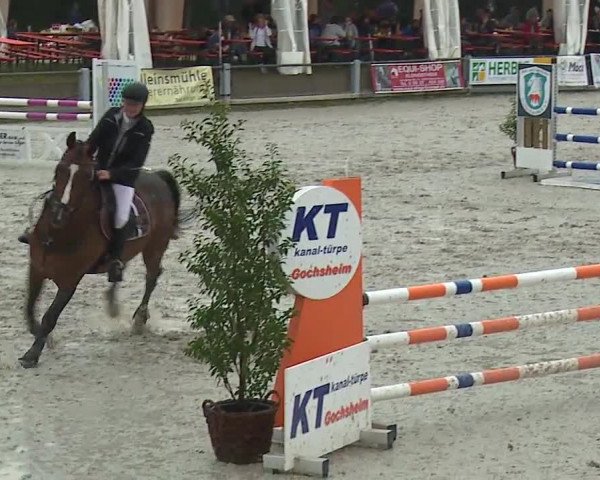 Reitturnier Grafenrheinfeld 2019