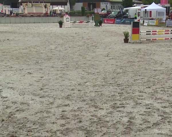 Reitturnier Grafenrheinfeld 2019