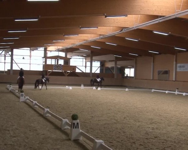 Reitturnier Grafenrheinfeld 2019