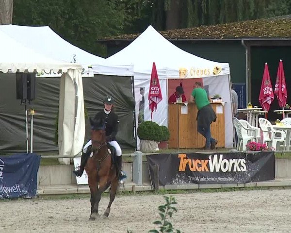 Reitturnier Grafenrheinfeld 2019
