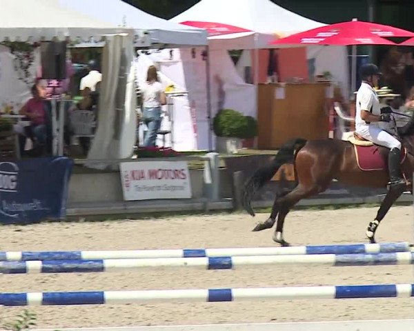 Reitturnier Grafenrheinfeld 2019