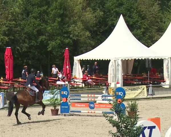 Reitturnier Grafenrheinfeld 2019