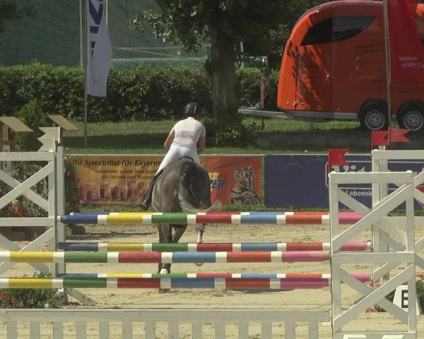 Reitturnier Oberderdingen 2019