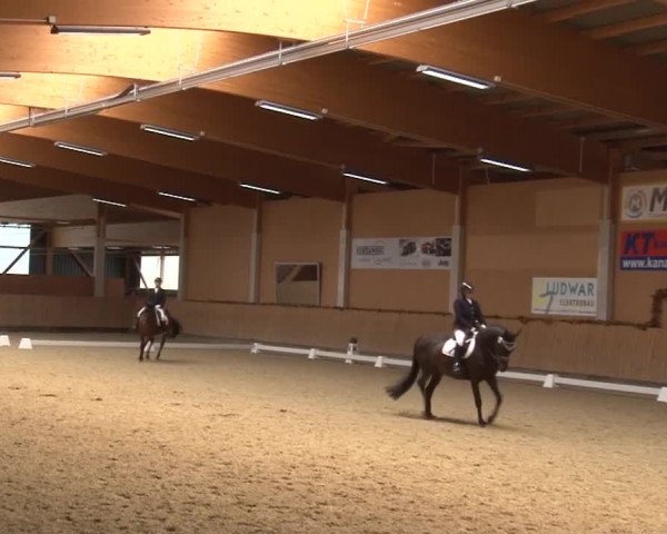 Reitturnier Grafenrheinfeld 2019
