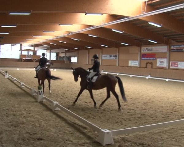 Reitturnier Grafenrheinfeld 2019