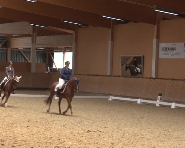 Reitturnier Grafenrheinfeld 2019
