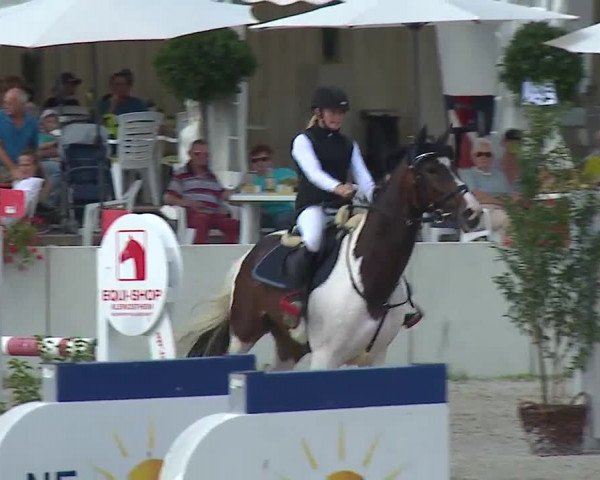 Reitturnier Grafenrheinfeld 2019