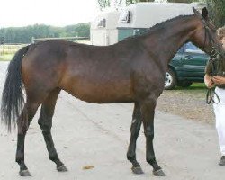 broodmare C¿est la vie (Zweibrücken, 2003, from Helenenhof's Carabas)