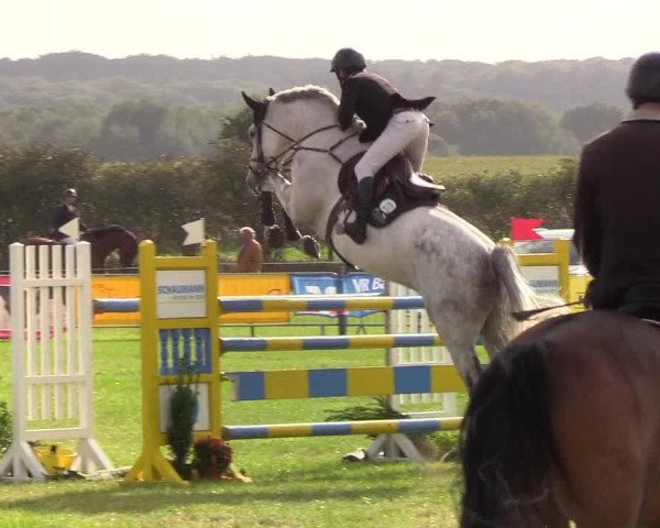 Reitturnier Behrendorf 2019