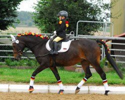 broodmare Belle Amie (German Riding Pony, 1999, from Baron)