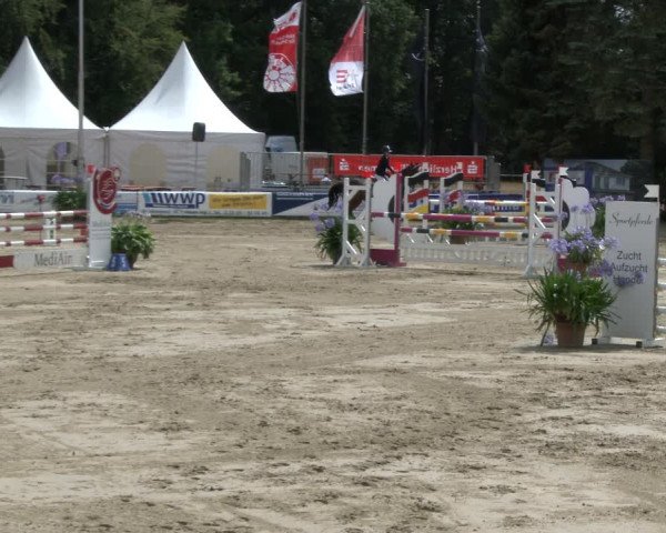 Reitturnier Waltrop 2019