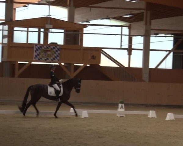 Reitturnier Grafenrheinfeld 2019