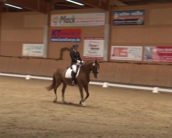 Reitturnier Grafenrheinfeld 2019