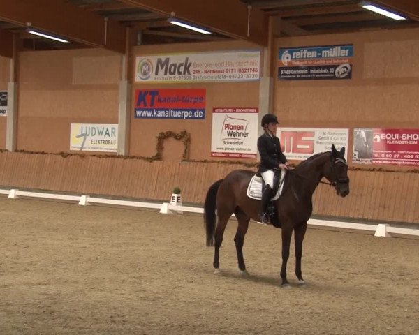 Reitturnier Grafenrheinfeld 2019