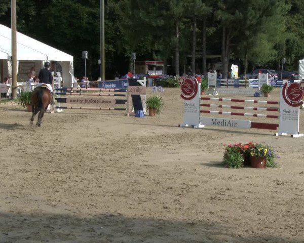 Reitturnier Waltrop 2019