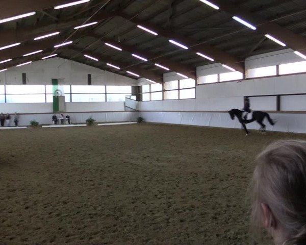Reitturnier Waltrop 2019