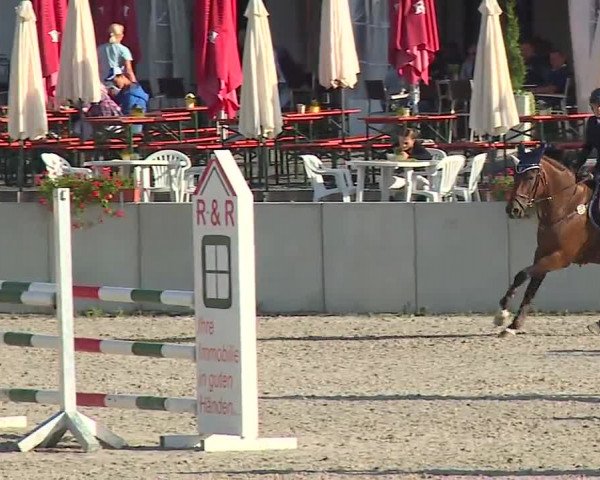 Reitturnier Grafenrheinfeld 2019