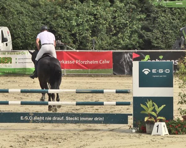 Reitturnier Oberderdingen 2019