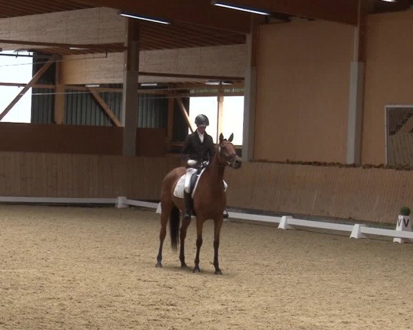 Reitturnier Grafenrheinfeld 2019