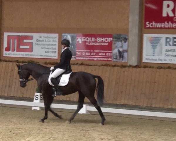 Reitturnier Grafenrheinfeld 2019