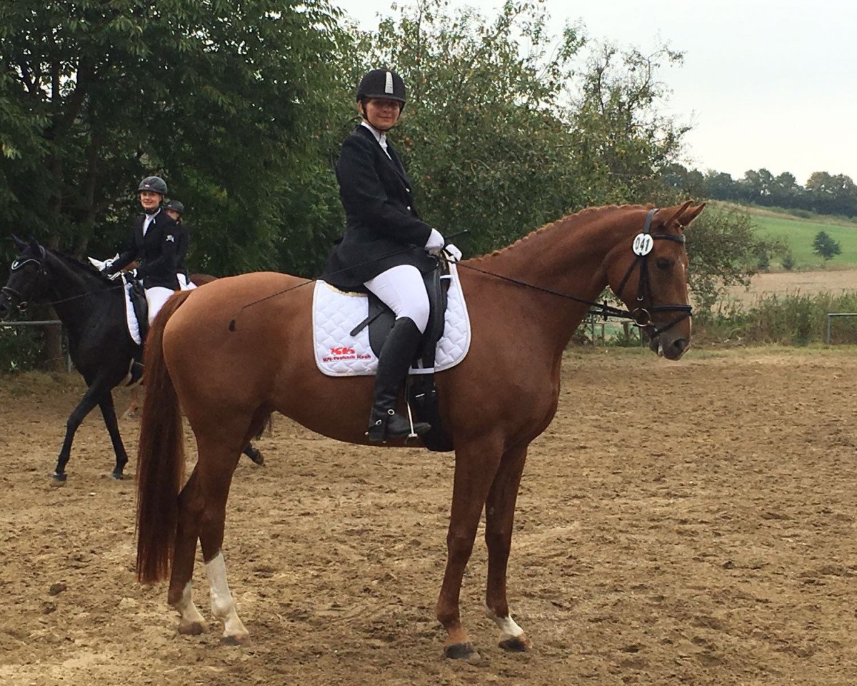 dressage horse Bella Benita (Westphalian, 2011, from Belissimo NRW)
