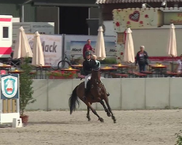 Reitturnier Grafenrheinfeld 2019