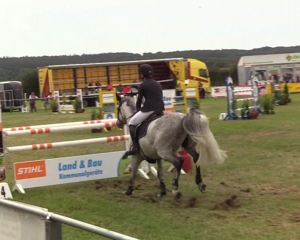 Reitturnier Behrendorf 2019