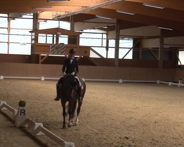 Reitturnier Grafenrheinfeld 2019