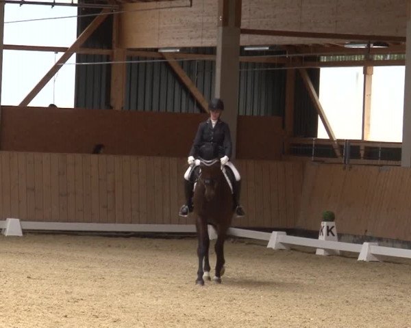 Reitturnier Grafenrheinfeld 2019
