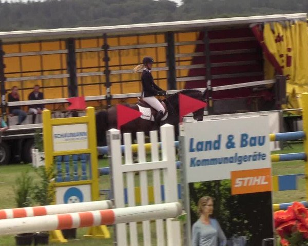 Reitturnier Behrendorf 2019
