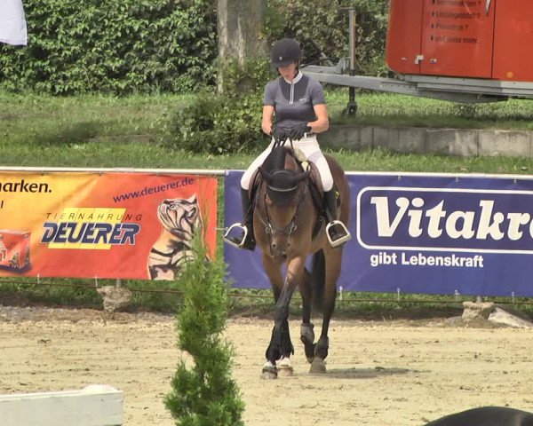 Reitturnier Oberderdingen 2019
