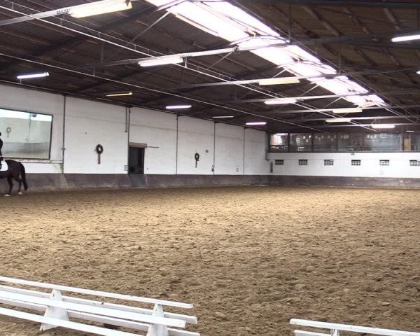 Reitturnier Ascheberg 2021