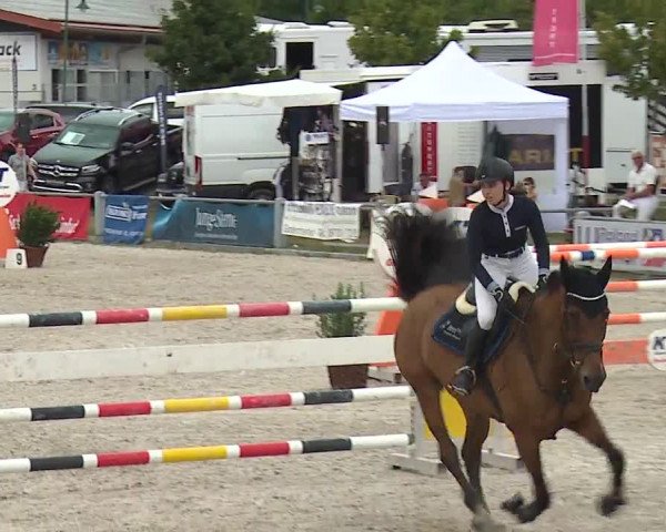 Reitturnier Grafenrheinfeld 2019
