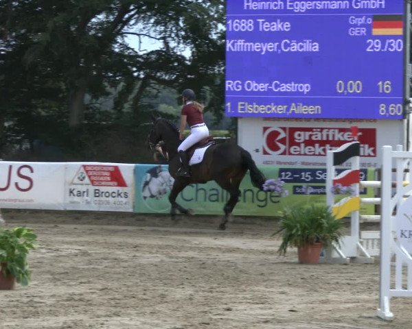Reitturnier Waltrop 2019