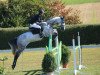 jumper Corde-Lisa (German Sport Horse, 2007, from Corde Lamour)