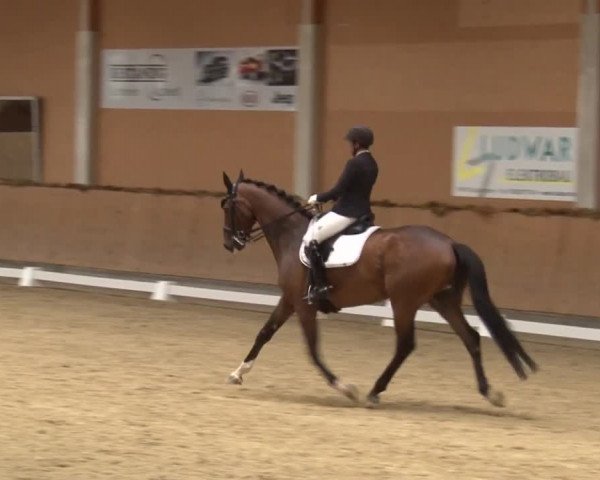 Reitturnier Grafenrheinfeld 2019