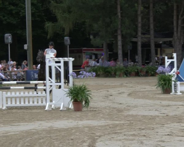 Reitturnier Waltrop 2019