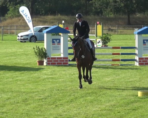 Reitturnier Gardelegen 2019
