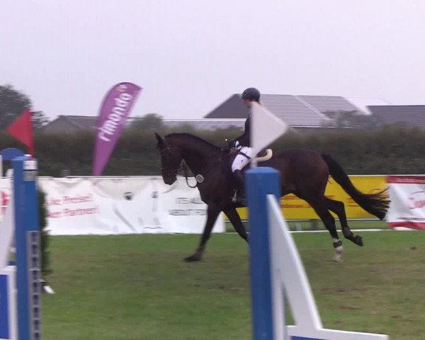 Reitturnier Behrendorf 2019